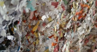 shredded-paper